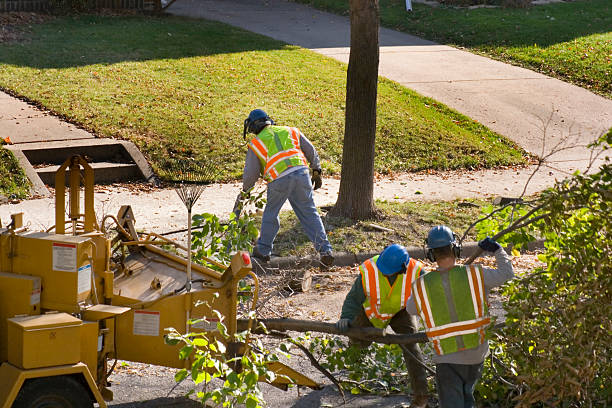 Best Pest Control for Lawns  in Pana, IL